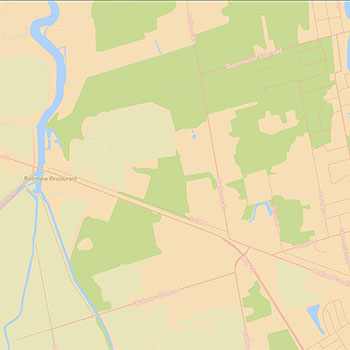 Warm and radiant — cream #FFF6E3 base with sunny yellow #F9D857, tangerine #E86B24, and orange-red #C14015. Honey gold #FACD83 and amber #FF9F1C amplify the energetic glow.