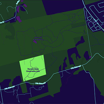 A high-energy cyberpunk mix: deep violet-black #0D0221 base with neon cyan #00F0FF, magenta #FF00E4, and acid yellow #FFE700 accents. Electric green #05F140 hints of vegetation, and water glows moody purple #540D6E.